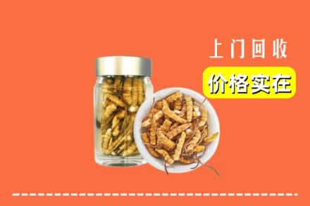 收购资讯:眉山市丹棱县回收散虫草