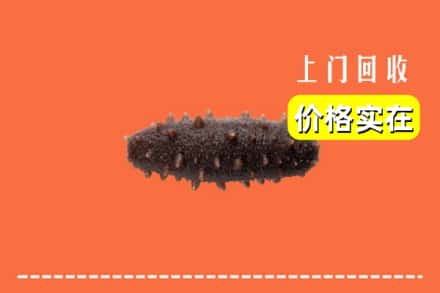 收购资讯:眉山市丹棱县回收海参