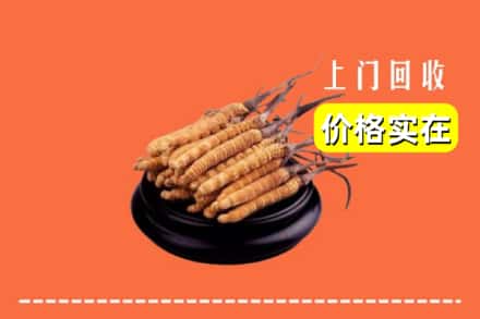 眉山市丹棱县回收冬虫夏草